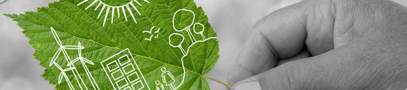 U.S. Africa Clean Energy Standards Program